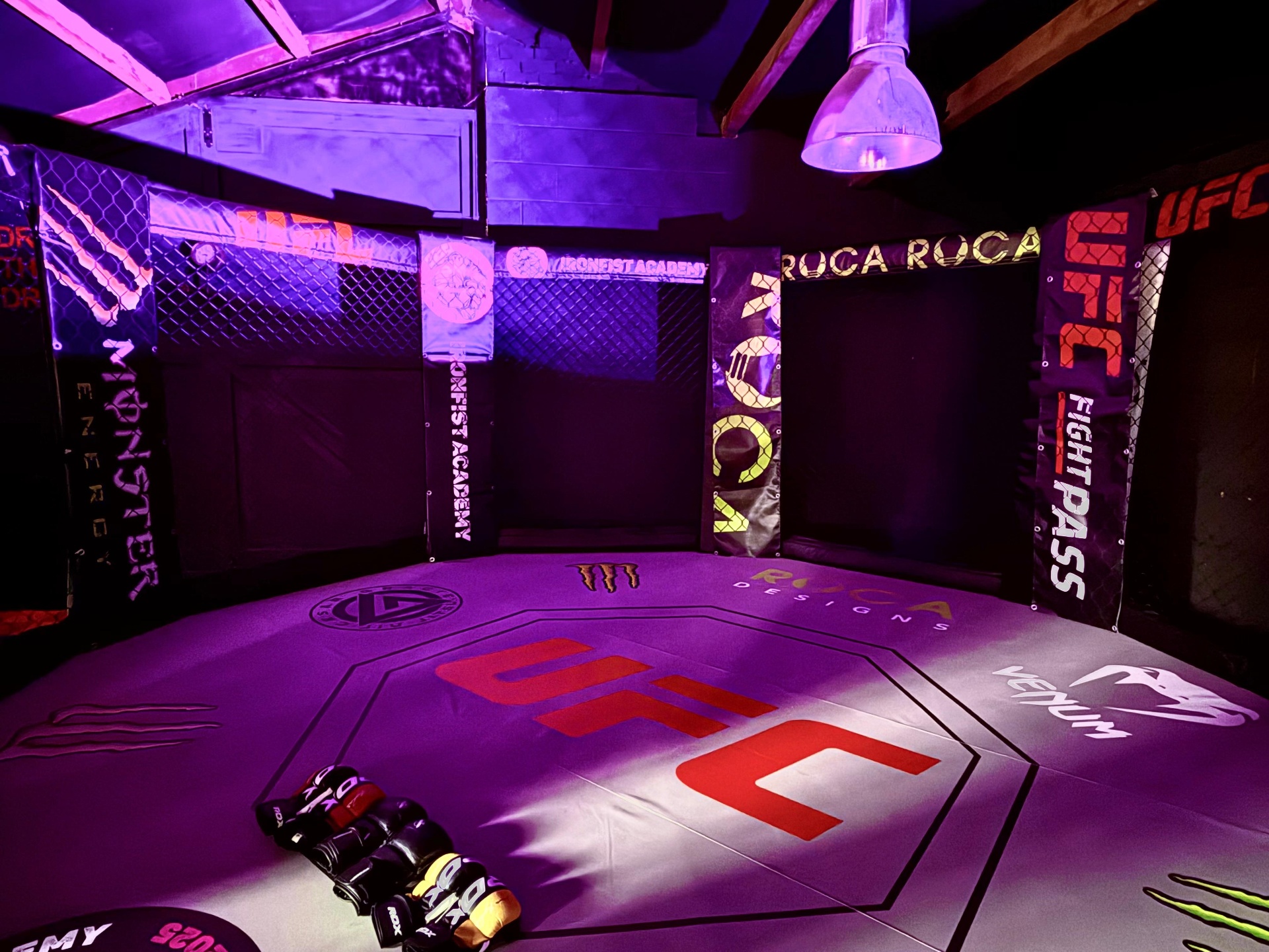 Pro-grade MMA cage interior with UFC branded mats